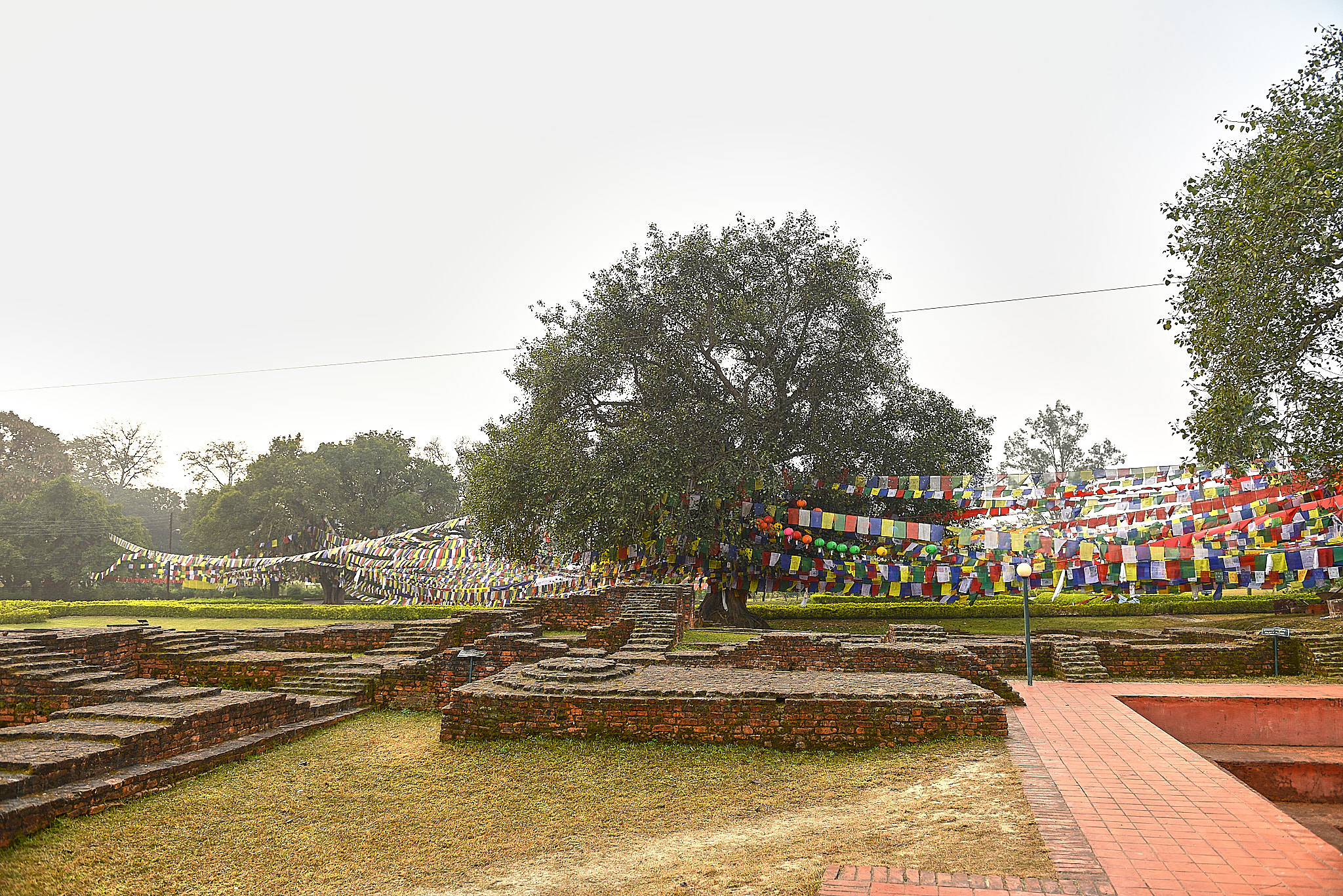 20140111 015 룸비니(부처 탄생지)